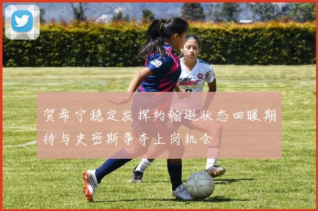 贺希宁稳定发挥约翰逊状态回暖期待与史密斯争夺上岗机会