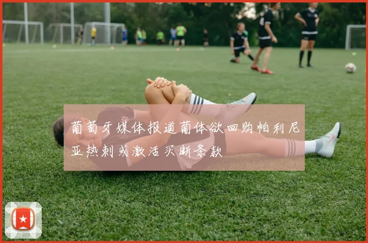 葡萄牙媒体报道葡体欲回购帕利尼亚热刺或激活买断条款